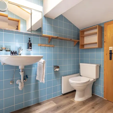 Les Lupins | 17 * La Tzoumaz